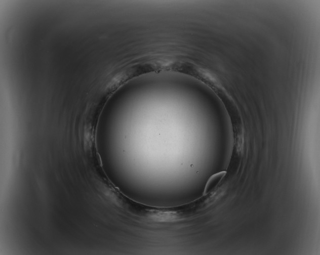 X0000085800476200703231334