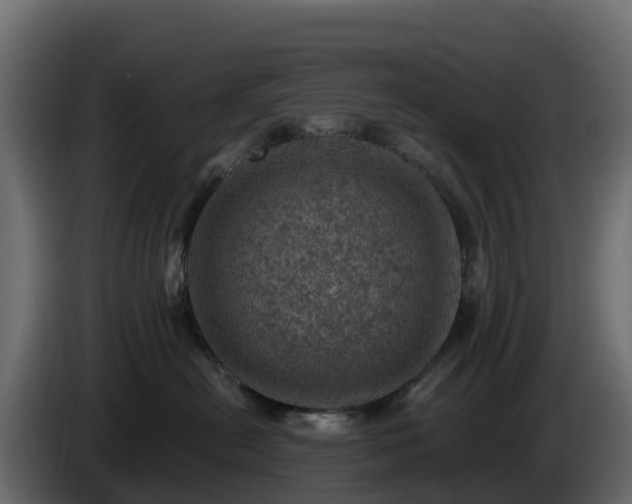 X0000085800478200703231334