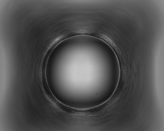 X0000085800482200703231333