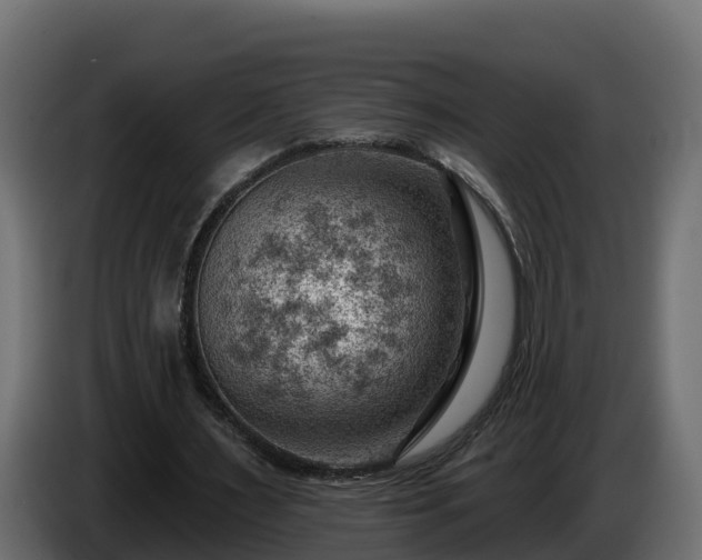 X0000085800483200703231333