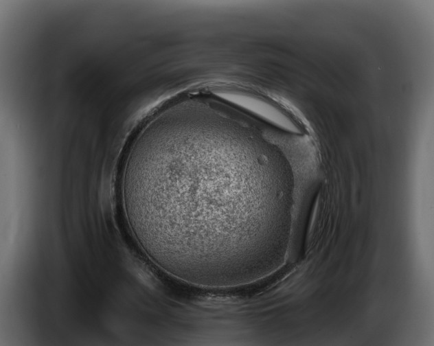 X0000085800487200703231333