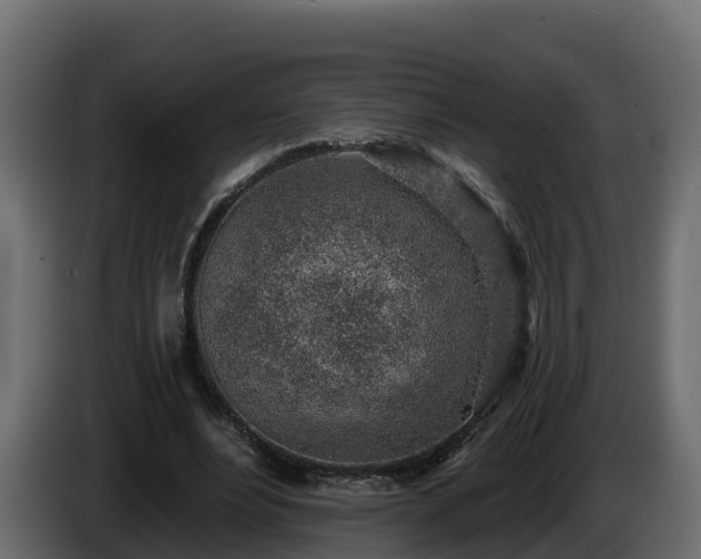 X0000085800488200703231333