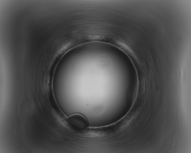 X0000085800490200703231333