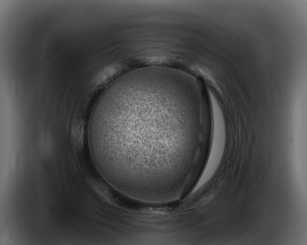 X0000085800495200703231333