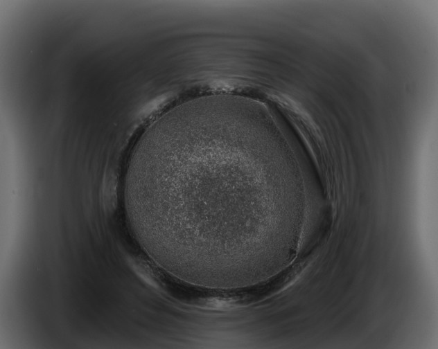 X0000085800496200703231333