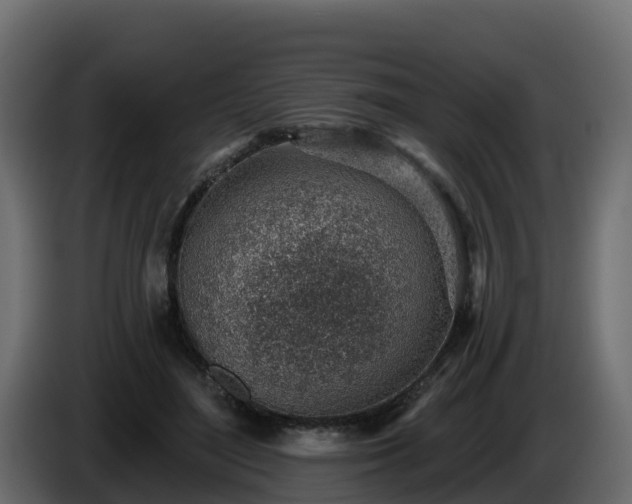 X0000085800500200703231333