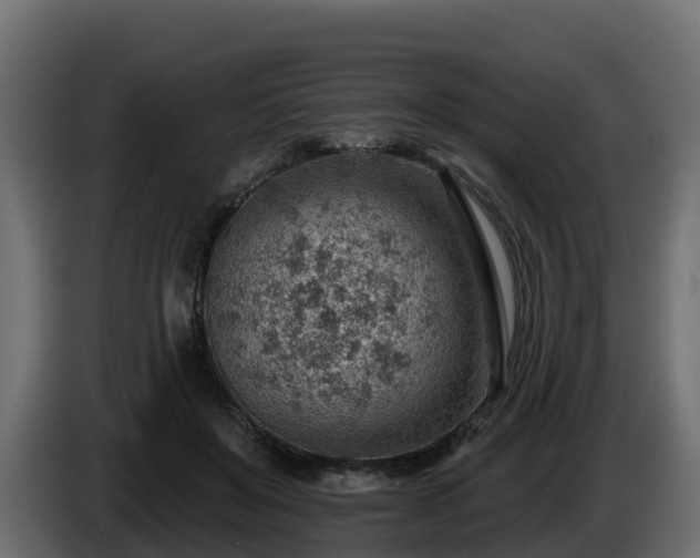 X0000085800503200703231333