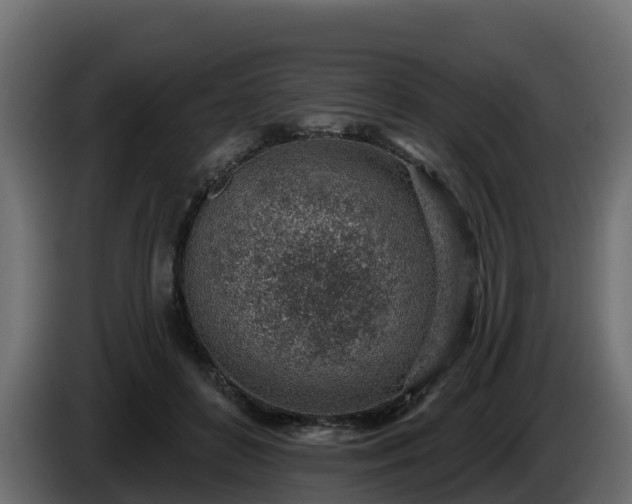 X0000085800504200703231333