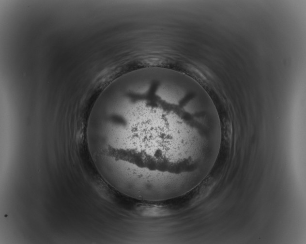 X0000085800507200703231333