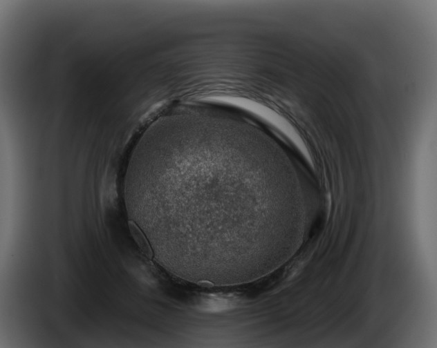 X0000085800508200703231333