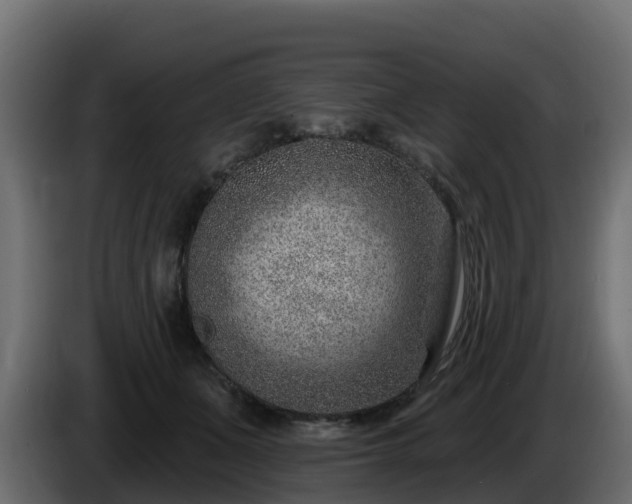 X0000085800511200703231333