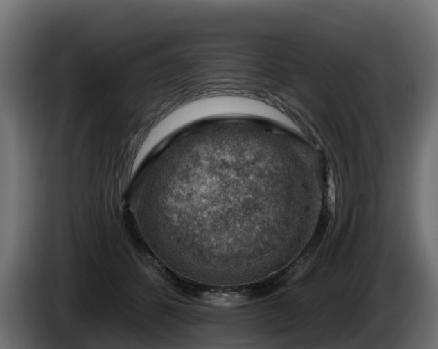 X0000085800512200703231333