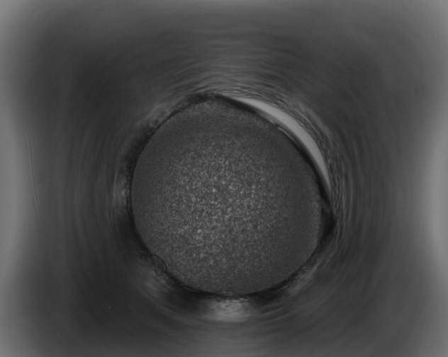 X0000085800513200703231333