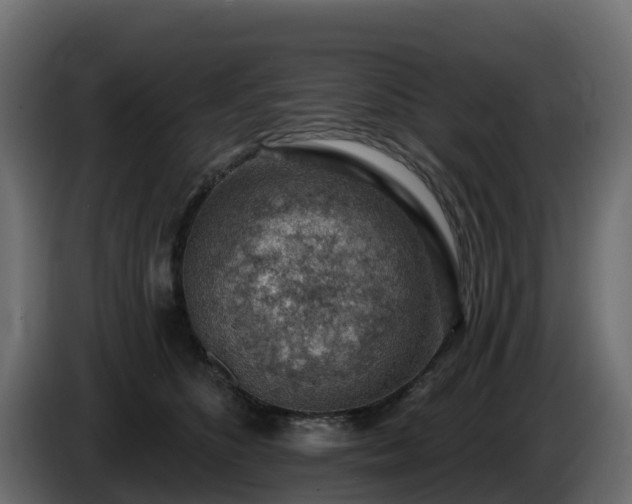 X0000085800516200703231333