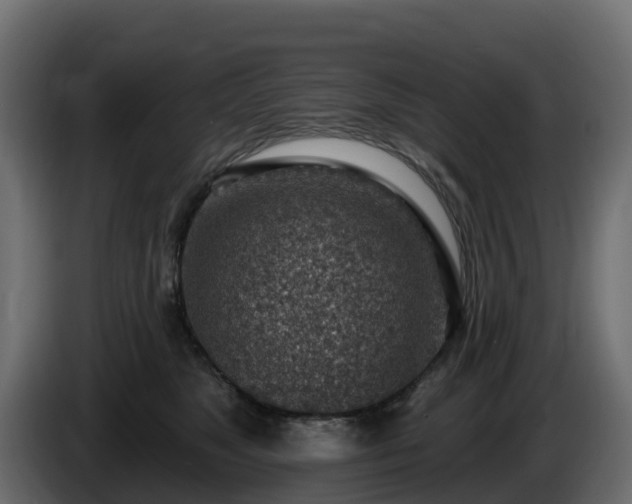 X0000085800517200703231333