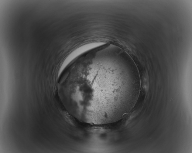 X0000085800519200703231333