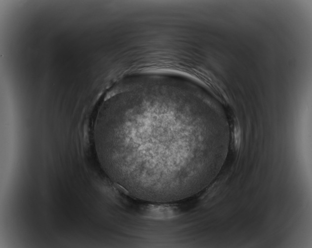 X0000085800520200703231333