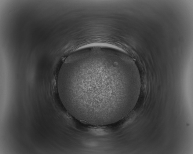 X0000085800523200703231333