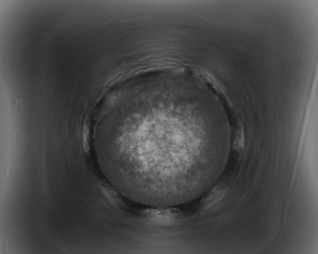 X0000085800524200703231333
