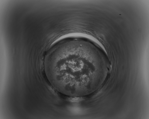 X0000085800527200703231333