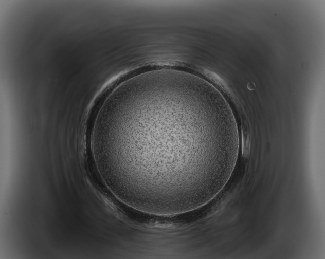 X0000085800531200703231332