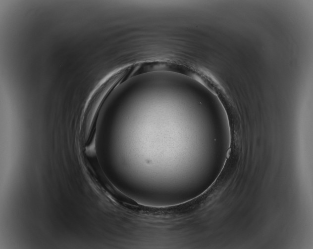 X0000085800532200703231332