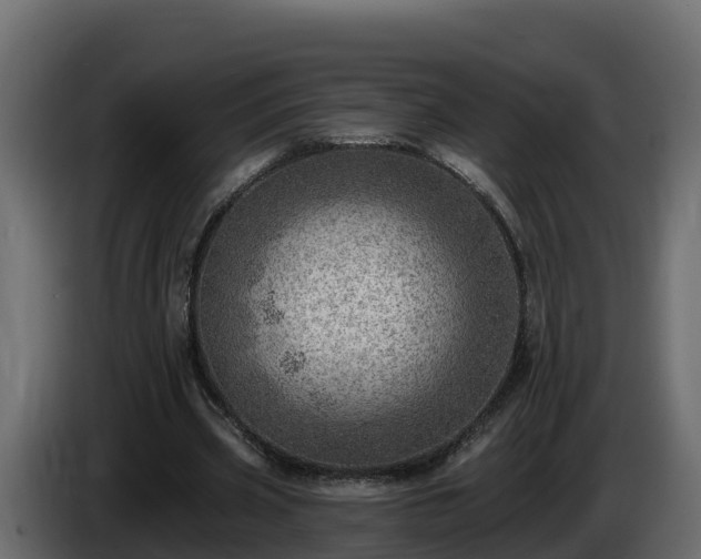 X0000085800533200703231332