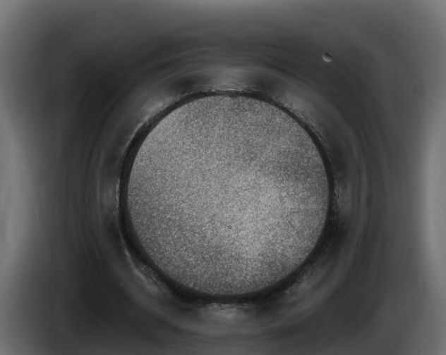 X0000085800534200703231332