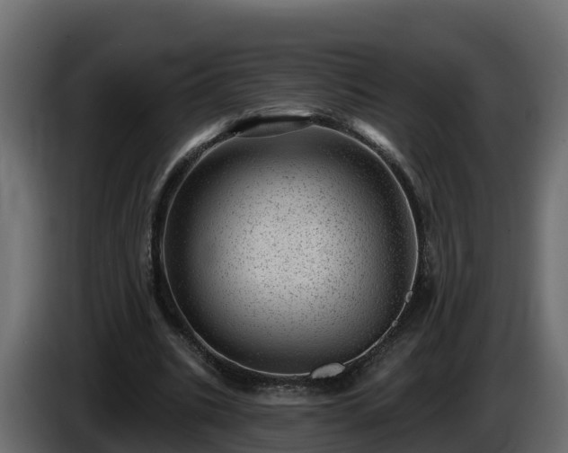 X0000085800535200703231332