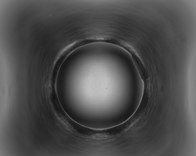 X0000085800536200703231332