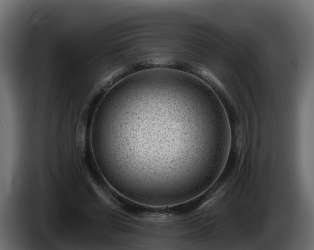 X0000085800542200703231332