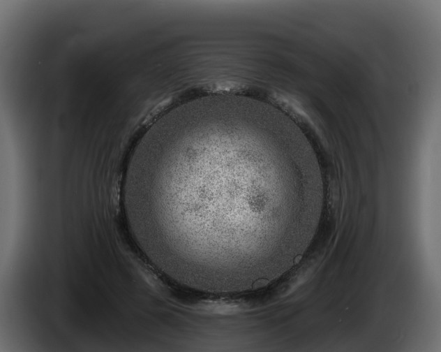 X0000085800545200703231332