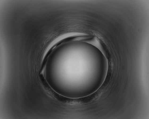 X0000085800546200703231332
