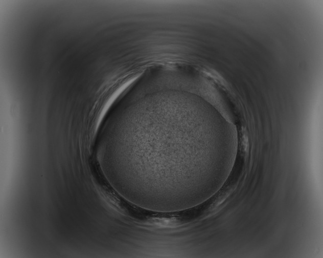 X0000085800552200703231332