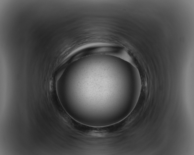 X0000085800556200703231332