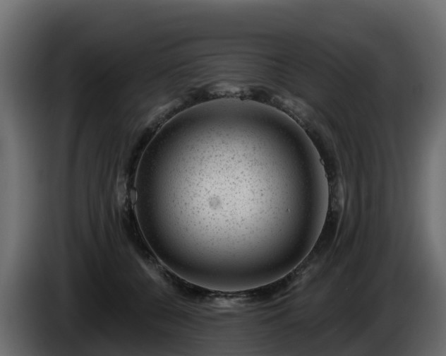 X0000085800560200703231333