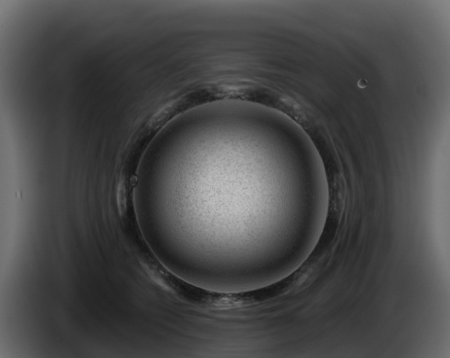 X0000085800562200703231333