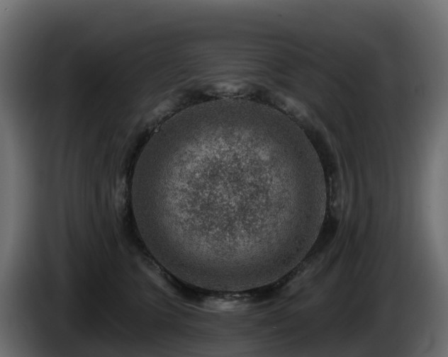 X0000085800563200703231333