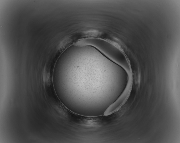 X0000085800564200703231333