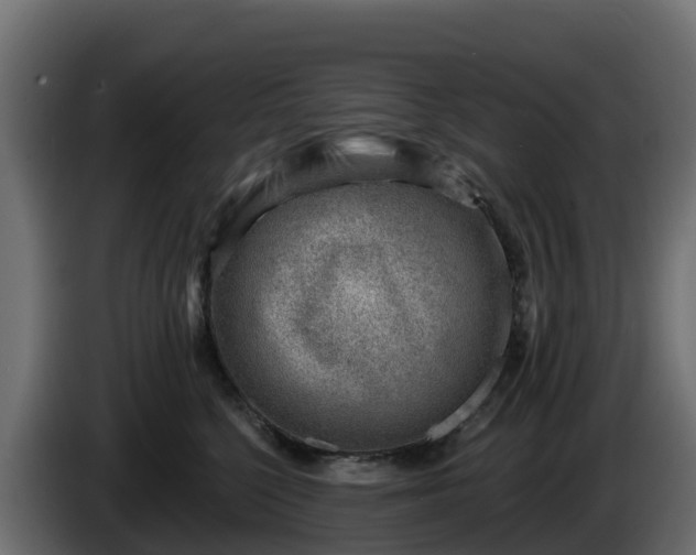 X0000085800568200703231333