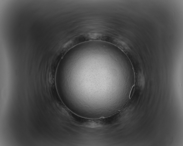 X0000085800569200703231333