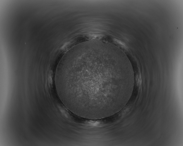 X0000085800570200703231333