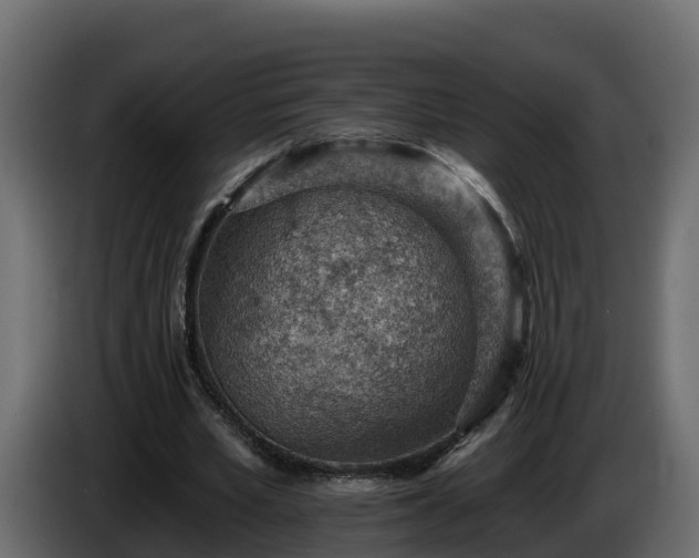 X0000085800581200703231332