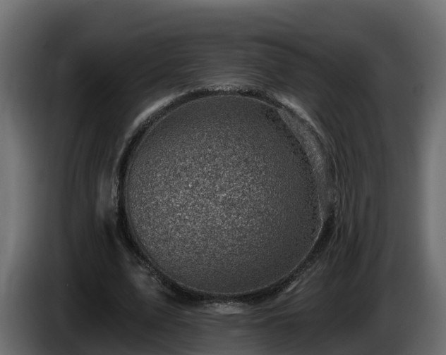 X0000085800583200703231332