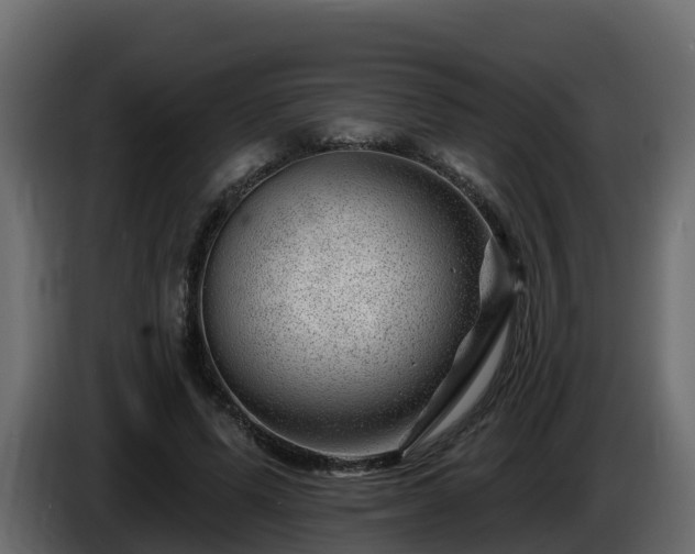 X0000085800591200703231332
