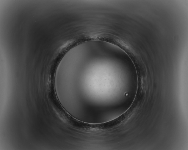 X0000085800592200703231332