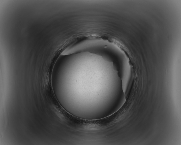 X0000085800593200703231332