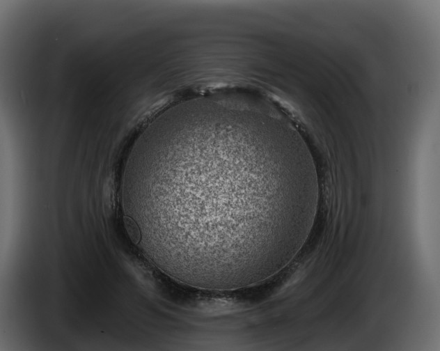 X0000085800594200703231332