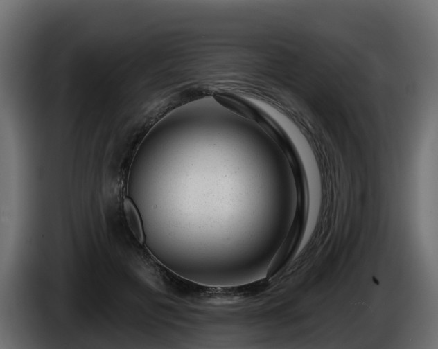 X0000085800601200703231332