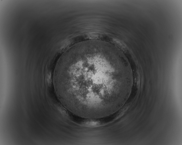 X0000085800610200703231332
